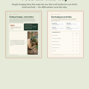 May include: Two pages of an informational guide titled Feed the wild way, featuring text about bird foraging, a photograph of a green parrot eating from a wooden toy, and a checklist of foraging ideas to try, all on a light background.