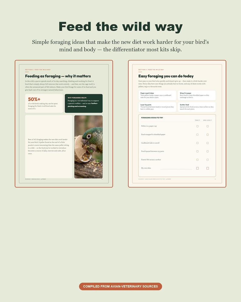 May include: Two pages of an informational guide titled Feed the wild way, featuring text about bird foraging, a photograph of a green parrot eating from a wooden toy, and a checklist of foraging ideas to try, all on a light background.