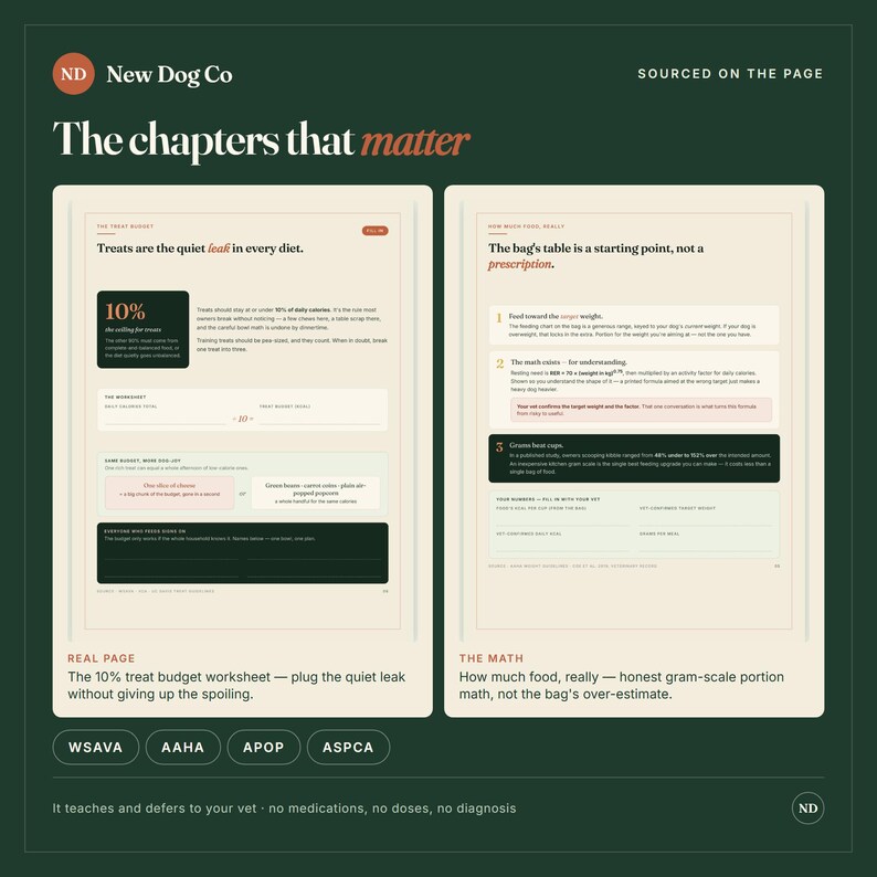 K&ouml;nnte beinhalten: Eine dunkelgr&uuml;ne Infografik mit dem Titel The chapters that matter von New Dog Co. Sie zeigt zwei Seiten: The Treat Budget und How Much Food, Really. Der Inhalt umfasst Text, Diagramme und Formeln zur Hundeern&auml;hrung und F&uuml;tterungsrichtlinien.
