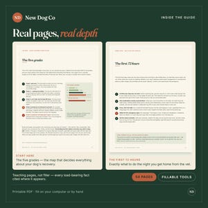 Op de afbeelding: Een digitale gids getiteld New Dog Co: Real pages, real depth. Twee open pagina's tonen The five grades en The first 72 hours. De lay-out bevat genummerde lijsten, een staafdiagram en tekstvakken. Onderaan staat 54 PAGES en FILLABLE TOOLS.