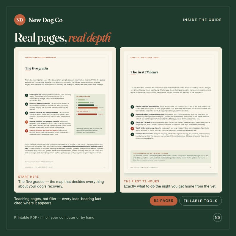 Op de afbeelding: Een digitale gids getiteld New Dog Co: Real pages, real depth. Twee open pagina's tonen The five grades en The first 72 hours. De lay-out bevat genummerde lijsten, een staafdiagram en tekstvakken. Onderaan staat 54 PAGES en FILLABLE TOOLS.