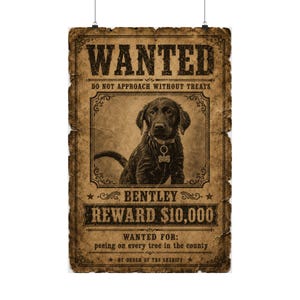 Custom Pet Wanted Poster, Western Outlaw Portrait, Funny Cowboy Dog Print, Wall Art image 9