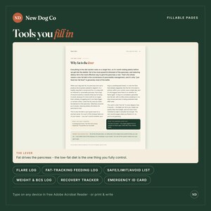 Może przedstawiać: Cyfrowa strona dokumentu zatytułowana Why fat is the lever od New Dog Co. Strona zawiera tekst o dietach niskotłuszczowych dla ps&oacute;w, z sekcjami o nazwach What you can't control, What you control every day oraz Where this leaves you.