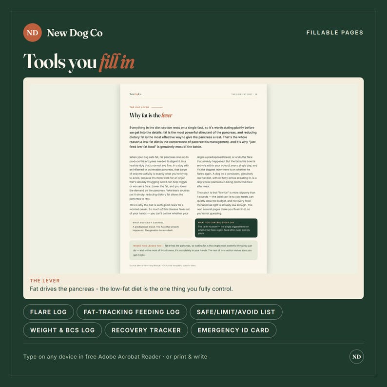 Może przedstawiać: Cyfrowa strona dokumentu zatytułowana Why fat is the lever od New Dog Co. Strona zawiera tekst o dietach niskotłuszczowych dla ps&oacute;w, z sekcjami o nazwach What you can't control, What you control every day oraz Where this leaves you.