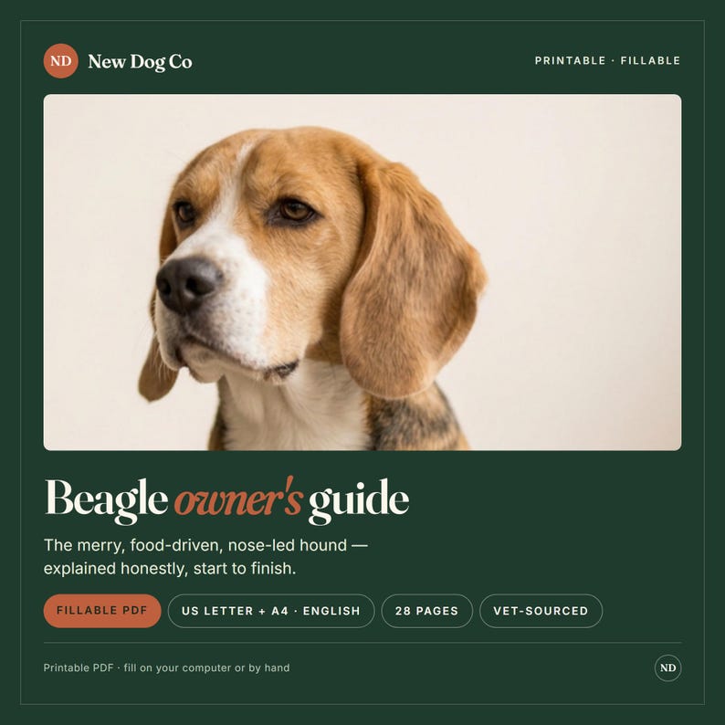 Ägarhandledning för Beagle | Handbok för veterinärbaserad dofthundvård (ifyllbar PDF) bild 1
