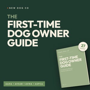 May include: A dark green background with the text "THE FIRST-TIME DOG OWNER GUIDE" in large white letters. A smaller book with the same title is in the lower right corner. The book is 27 pages.