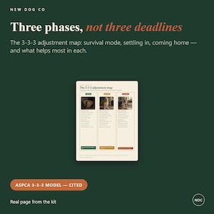 Op de afbeelding: Een informatief document getiteld The 3-3-3 adjustment map op een donkergroene achtergrond. De tekst luidt Three phases, not three deadlines en beschrijft de fasen overlevingsmodus, wennen en thuiskomen met bijbehorende hondenfoto's.