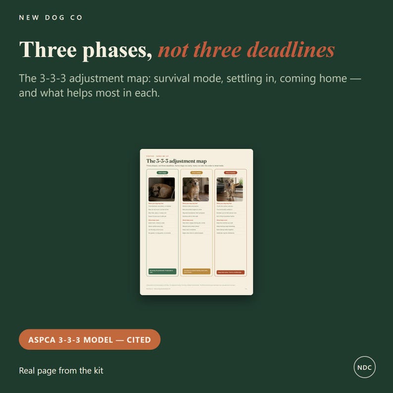 Op de afbeelding: Een informatief document getiteld The 3-3-3 adjustment map op een donkergroene achtergrond. De tekst luidt Three phases, not three deadlines en beschrijft de fasen overlevingsmodus, wennen en thuiskomen met bijbehorende hondenfoto's.