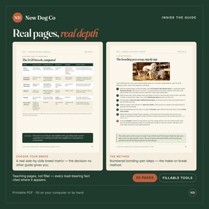 K&ouml;nnte beinhalten: Ein digitaler Leitfaden mit dem Titel New Dog Co, der zwei offene Seiten auf dunkelgr&uuml;nem Hintergrund zeigt. Die linke Seite enth&auml;lt eine Rassenvergleichstabelle, w&auml;hrend die rechte Seite einen Aufbau zur Bindung mit Foto zeigt.