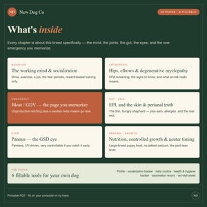 Pode incluir: Um documento informativo verde-escuro intitulado What's inside da New Dog Co. Descreve 28 p&aacute;ginas de conte&uacute;do sobre sa&uacute;de canina, incluindo comportamento, ortopedia, emerg&ecirc;ncias, pele, olhos e nutri&ccedil;&atilde;o, al&eacute;m de 6 ferramentas preench&iacute;veis.