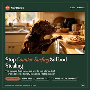 May include: A digital guide and planner titled Stop Counter-Surfing & Food Stealing by New Dog Co. The cover features a brown dog with paws on a kitchen counter. It includes a toxic-food safety plan, is 42 pages, and is a printable PDF in US Letter and A4.