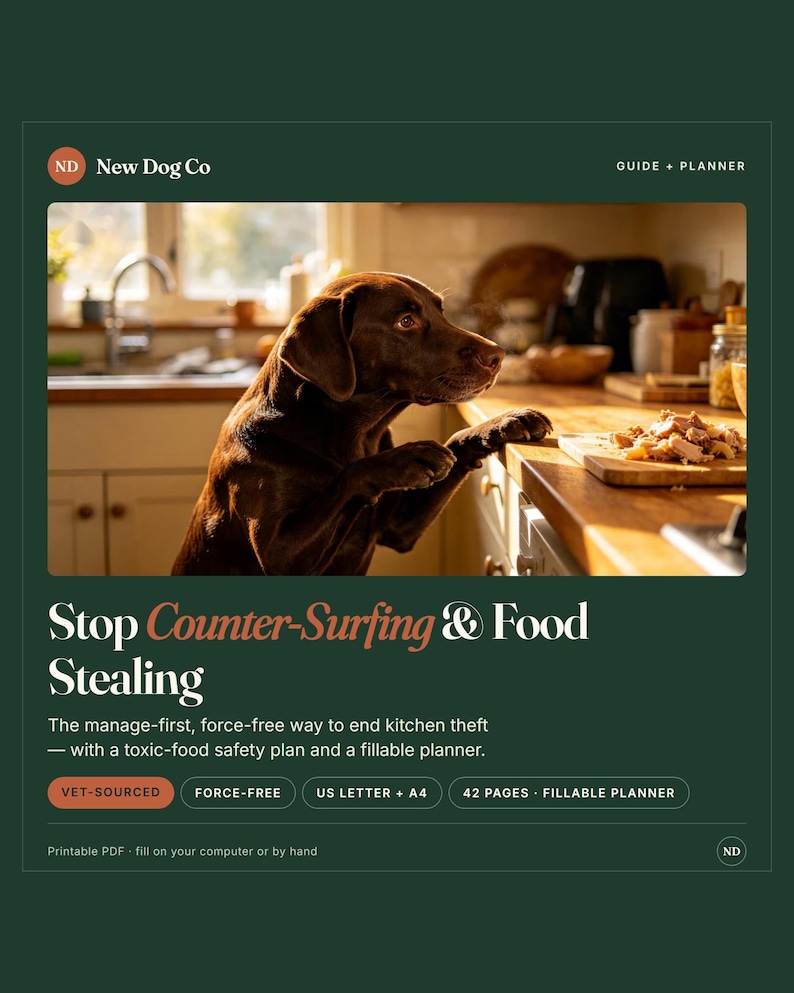 May include: A digital guide and planner titled Stop Counter-Surfing & Food Stealing by New Dog Co. The cover features a brown dog with paws on a kitchen counter. It includes a toxic-food safety plan, is 42 pages, and is a printable PDF in US Letter and A4.