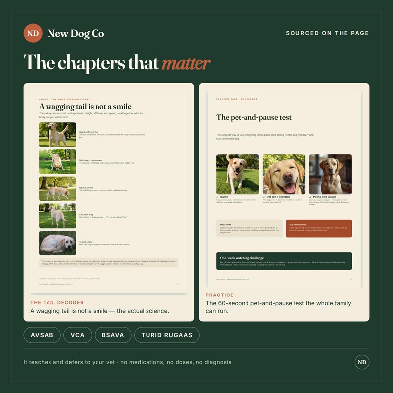 May include: An educational infographic titled The chapters that matter by New Dog Co. It features two sections: A wagging tail is not a smile with five dog photos and The pet-and-pause test with three dog photos, explaining canine body language.