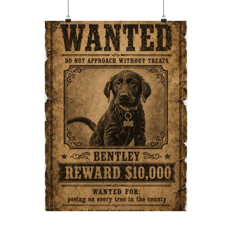 Custom Pet Wanted Poster, Western Outlaw Portrait, Funny Cowboy Dog Print, Wall Art image 17