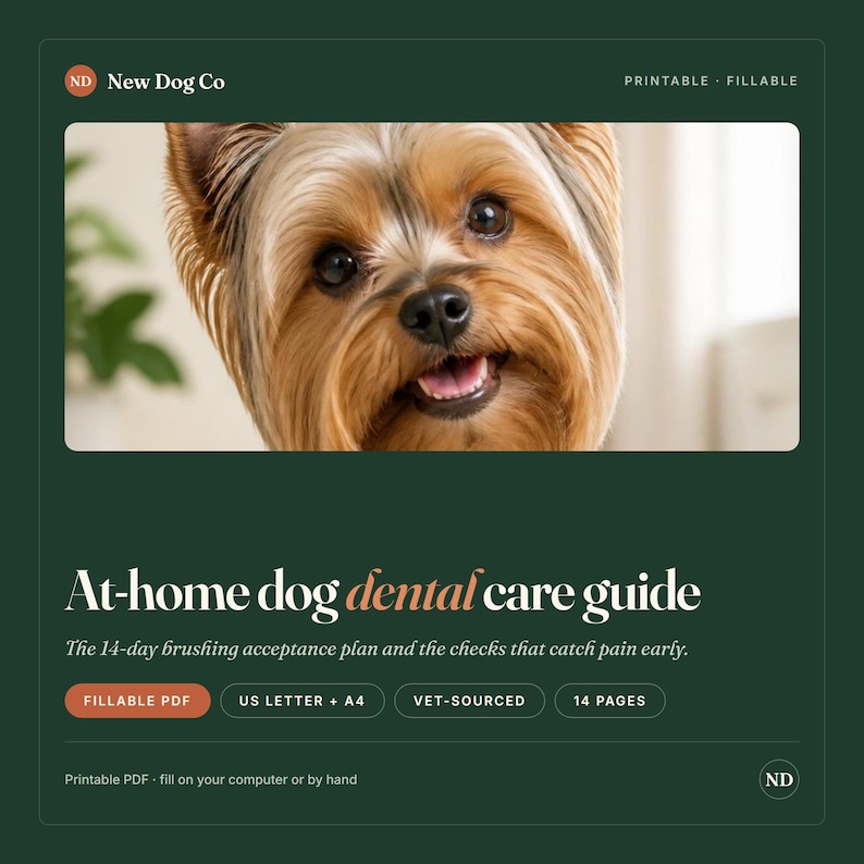 May include: A dark green digital document titled At-home dog dental care guide featuring a photograph of a Yorkshire Terrier. The text includes 14-day brushing acceptance plan, fillable PDF, US Letter + A4, vet-sourced, and 14 pages labels.