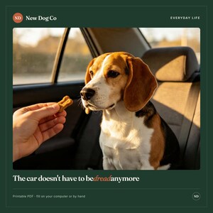 Puede incluir: Un perro beagle sentado en un asiento de coche mira una peque&ntilde;a golosina marr&oacute;n sostenida por una mano. La imagen incluye el texto New Dog Co, EVERYDAY LIFE y The car doesn't have to be dread anymore, con una nota sobre un PDF imprimible.