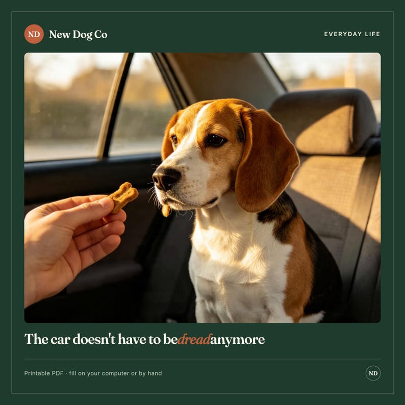 Puede incluir: Un perro beagle sentado en un asiento de coche mira una peque&ntilde;a golosina marr&oacute;n sostenida por una mano. La imagen incluye el texto New Dog Co, EVERYDAY LIFE y The car doesn't have to be dread anymore, con una nota sobre un PDF imprimible.