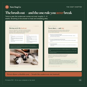 May include: An educational infographic titled The Coat Chapter by New Dog Co. It features text about dog grooming, specifically the brush-out process and why one should never shave a double coat. It includes a photo of a person brushing a husky.
