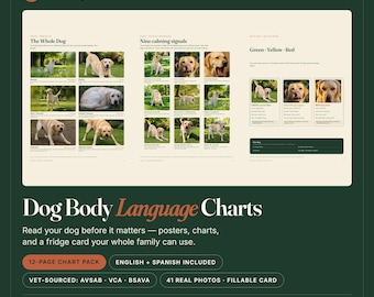 Paquete de tablas de lenguaje corporal canino / Señales de calma, prevención de mordeduras (PDF inglés+español)