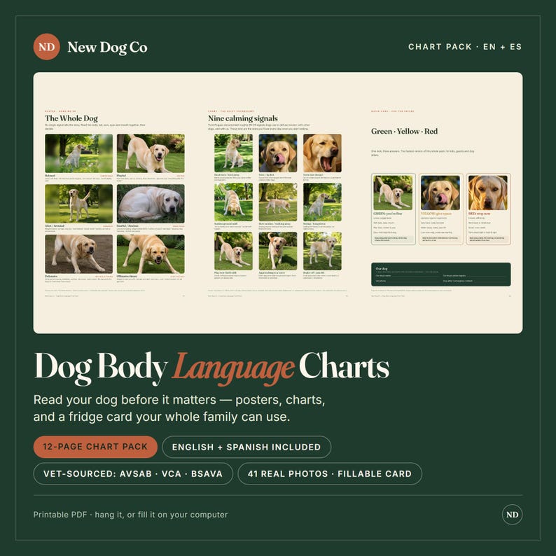 May include: A 12-page chart pack titled Dog Body Language Charts by New Dog Co. The educational material features numerous photographs of a yellow Labrador Retriever demonstrating various behaviors, calming signals, and color-coded safety indicators.