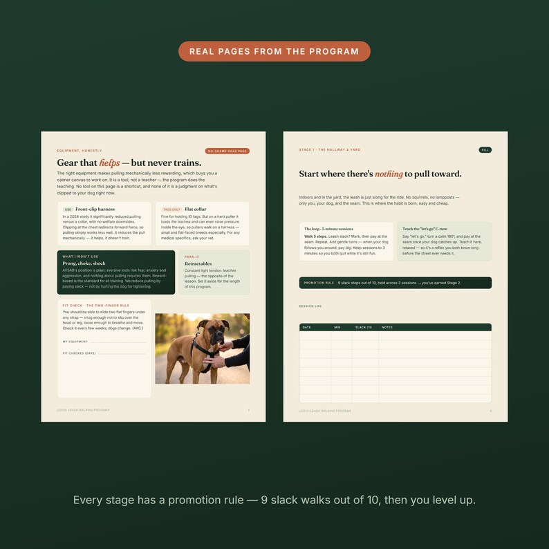 May include: Two pages from a dog training programme featuring text and a photograph of a brown dog wearing a black harness. The left page is titled Gear that helps&mdash;but never trains, and the right page is titled Start where there's nothing to pull toward.