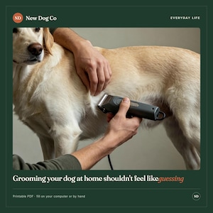 Puede incluir: Una cortadora de pelo el&eacute;ctrica de color gris oscuro para mascotas utilizada para arreglar a un perro de pelaje claro. La imagen incluye el texto New Dog Co, EVERYDAY LIFE, Grooming your dog at home shouldn't feel like guessing y Printable PDF - fill on your computer or by hand.