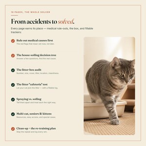 以下が含まれることがあります： 19 PAGES, THE WHOLE SOLVER From accidents to solvedというタイトルの文書。医学的除外、トイレの意思決定ツリー、猫砂の監査、カフェテリアテスト、スプレーと排泄の比較、多頭飼育のリソース、再トレーニング計画が記載されており、猫の写真が添えられています。