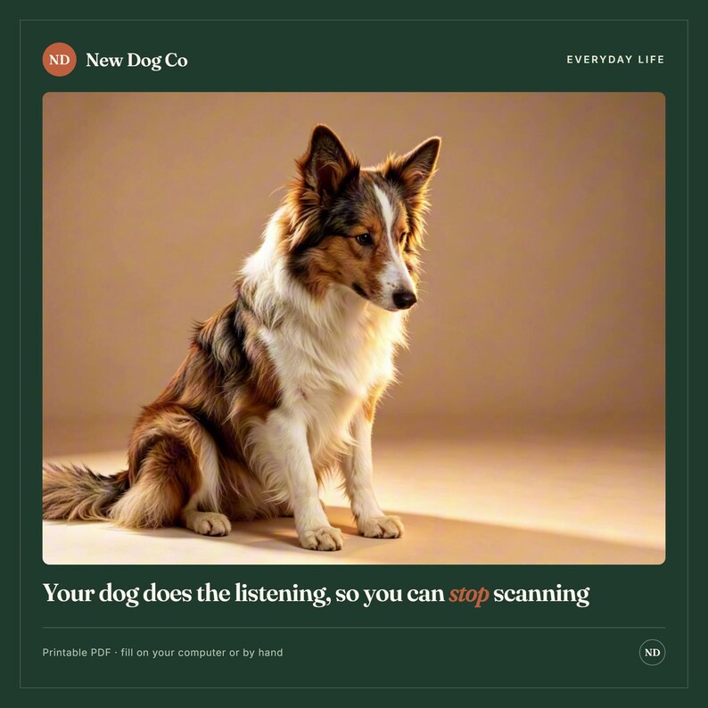 Pode incluir: Um documento PDF imprim&iacute;vel com um c&atilde;o castanho, branco e preto sentado num fundo bege. O texto no topo diz New Dog Co e Everyday Life. O texto na parte inferior diz Your dog does the listening, so you can stop scanning.