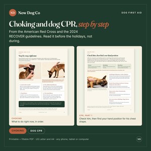 May include: A digital guide titled Choking and dog CPR, step by step, featuring instructions from the American Red Cross and 2024 RECOVER guidelines. It includes diagrams and text for emergency procedures, formatted as a printable PDF.