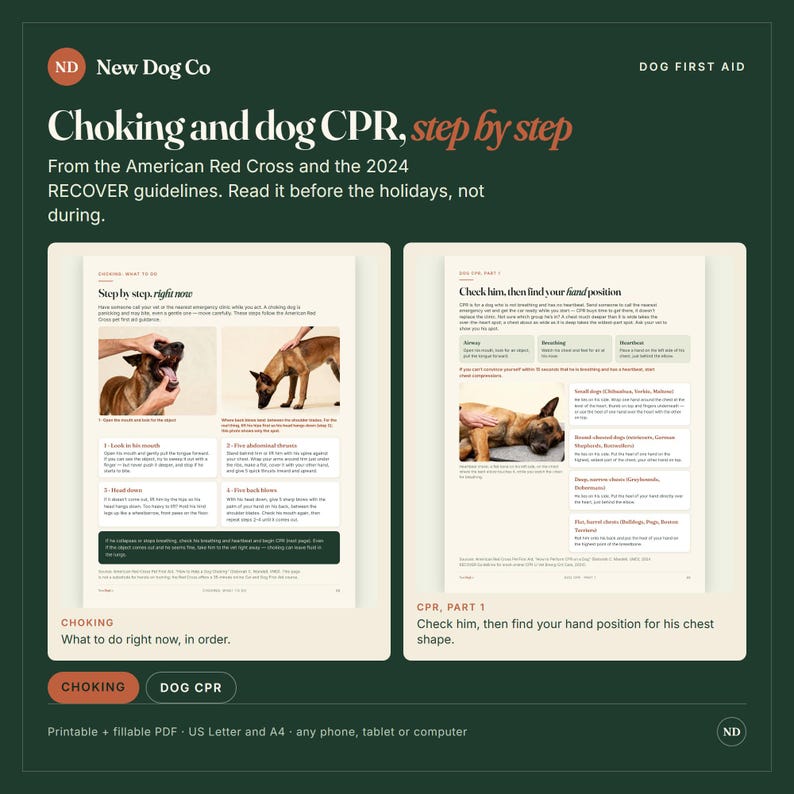 May include: A digital guide titled Choking and dog CPR, step by step, featuring instructions from the American Red Cross and 2024 RECOVER guidelines. It includes diagrams and text for emergency procedures, formatted as a printable PDF.