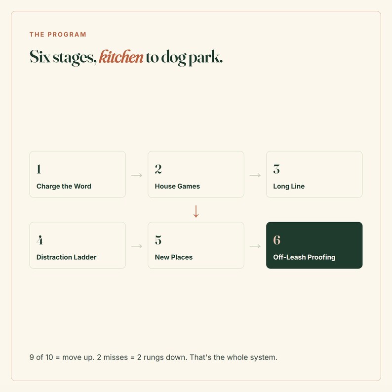 Puede incluir: Un gr&aacute;fico titulado THE PROGRAM: Six stages, kitchen to dog park. Muestra seis pasos numerados en recuadros: 1 Charge the Word, 2 House Games, 3 Long Line, 4 Distraction Ladder, 5 New Places y 6 Off-Leash Proofing. El texto inferior dice: 9 of 10 = move up. 2 misses = 2 rungs down. That's the whole system.
