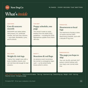 May include: A dark green informational chart titled New Dog Co What's inside, featuring six cream-colored boxes detailing pet health records. Sections include Vaccines, The Map, Parasites, Wellness, Safety, and Emergencies with text descriptions.