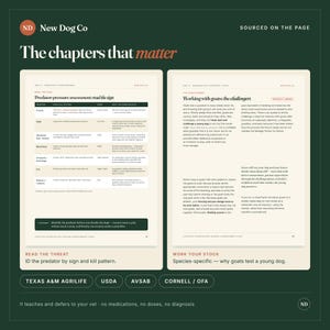 K&ouml;nnte beinhalten: Zwei offene Seiten eines Leitfadens mit dem Titel The chapters that matter von New Dog Co. Die linke Seite enth&auml;lt eine Tabelle zur Bewertung des Raubtierdrucks, w&auml;hrend die rechte Seite die Arbeit mit Ziegen thematisiert.