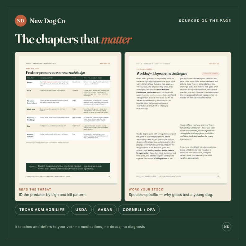 K&ouml;nnte beinhalten: Zwei offene Seiten eines Leitfadens mit dem Titel The chapters that matter von New Dog Co. Die linke Seite enth&auml;lt eine Tabelle zur Bewertung des Raubtierdrucks, w&auml;hrend die rechte Seite die Arbeit mit Ziegen thematisiert.