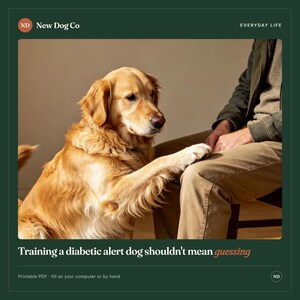 Puede incluir: Un golden retriever apoya una pata en la rodilla de una persona. El texto dice: New Dog Co, EVERYDAY LIFE, Training a diabetic alert dog shouldn't mean guessing, Printable PDF - fill on your computer or by hand. Borde de color verde oscuro.