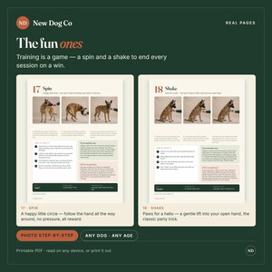 20 viktiga kommandon för hundträning, steg-för-steg-bilder (PDF-nedladdning) bild 15