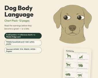 Pakket lichaamstaal van de hond | Kalmerende signalen, poster voor beetpreventie (pdf-download)