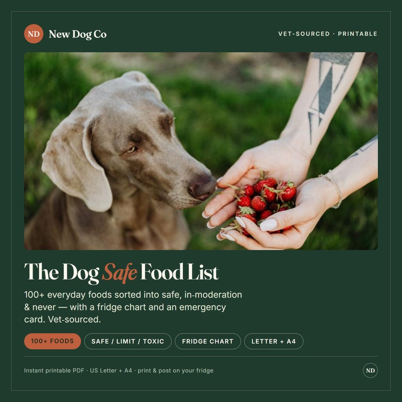May include: A digital graphic titled The Dog Safe Food List featuring a Weimaraner dog and a handful of strawberries. The text includes 100+ everyday foods sorted into safe, in-moderation & never, with a fridge chart and an emergency card. Vet-sourced.