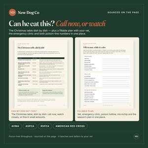 May include: A two-page informational guide titled Can he eat this? featuring a Christmas table food safety chart for dogs and a fillable holiday plan form. The document includes sections for emergency contacts, vet details, and poison control numbers.