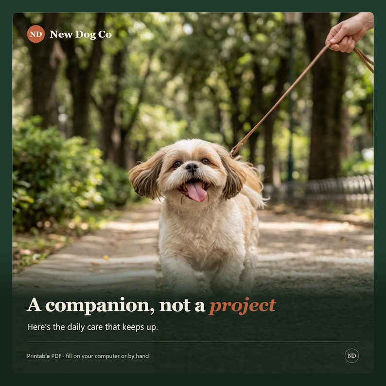 K&ouml;nnte beinhalten: Ein kleiner, hellfarbener Shih Tzu mit langen Ohren und offenem Maul mit sichtbarer Zunge, der auf einem Weg l&auml;uft. Der Text lautet: New Dog Co, A companion, not a project, Here's the daily care that keeps up, Printable PDF, fill on your computer or by hand.