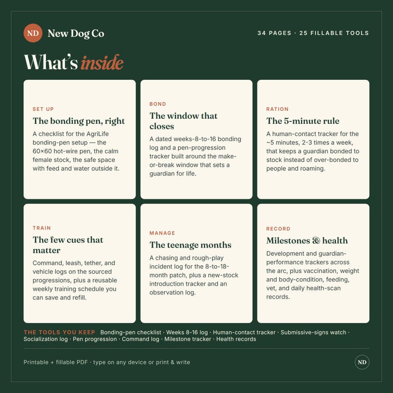 May include: A dark green informational graphic titled What's inside by New Dog Co. It lists 34 pages and 25 fillable tools across six sections: Set Up, Bond, Ration, Train, Manage, and Record. Each section contains a checklist or tracker for dog care.