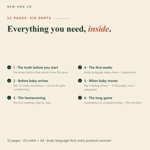 May include: A document titled New Dog Co with 52 pages and six parts. The text reads: Everything you need, inside. It lists six sections: The truth before you start, Before baby arrives, The homecoming, The first weeks, When baby moves, and The long game.