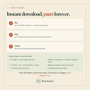 以下が含まれることがあります： How It Works: Instant download, yours foreverというタイトルの情報グラフィック。Buy、Play、Followの3つのステップが記載されています。14ページ、8週間のプラン、USレターおよびA4フォーマット、16のアイデアバンクなどの内容がリストアップされています。