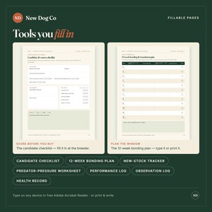 K&ouml;nnte beinhalten: Zwei digitale ausf&uuml;llbare Seiten mit dem Titel New Dog Co Tools you fill in. Die linke Seite ist eine Candidate & source checklist, die rechte Seite ein 12-week bonding & foundation plan. Beide Seiten haben einen wei&szlig;en Hintergrund mit hellgr&uuml;nen Akzenten.