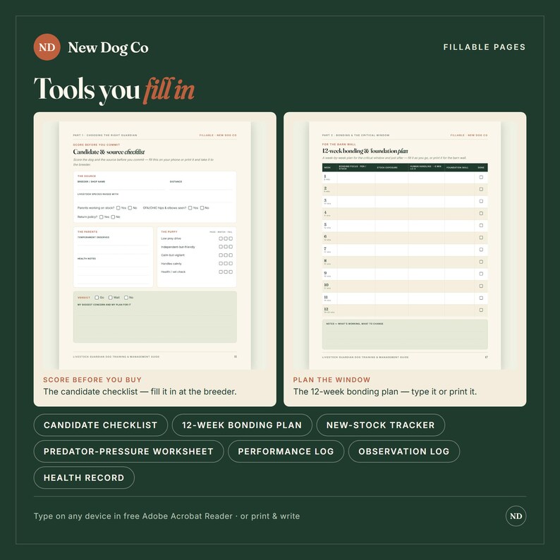K&ouml;nnte beinhalten: Zwei digitale ausf&uuml;llbare Seiten mit dem Titel New Dog Co Tools you fill in. Die linke Seite ist eine Candidate & source checklist, die rechte Seite ein 12-week bonding & foundation plan. Beide Seiten haben einen wei&szlig;en Hintergrund mit hellgr&uuml;nen Akzenten.