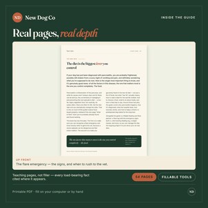 Może przedstawiać: Cyfrowy przewodnik zatytułowany New Dog Co zawierający stronę z nagł&oacute;wkiem The diet is the biggest lever you control. Dokument zawiera tekst na temat zapalenia trzustki u ps&oacute;w, ciemnozielone pole tekstowe oraz etykiety wskazujące 54 strony i narzędzia do wypełniania.