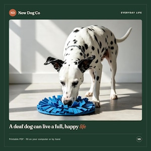 May include: A white and black spotted Dalmatian dog interacts with a round, blue fabric snuffle mat featuring numerous felt strips. The text "New Dog Co" and "A deaf dog can live a full, happy life" are visible on the dark green border.