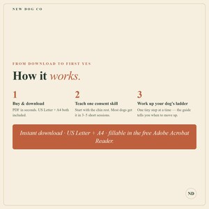 May include: A beige informational graphic titled How it works from New Dog Co. It outlines three steps: 1. Buy & download, 2. Teach one consent skill, and 3. Work up your dog's ladder. A rust-colored banner notes Instant download, US Letter + A4.