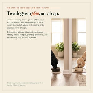 May include: A printed guide titled Two dogs is a plan, not a leap, featuring text about dog care and a photograph of a black dog and a tan dog eating from separate bowls on a wooden floor, with potted plants visible in the background.