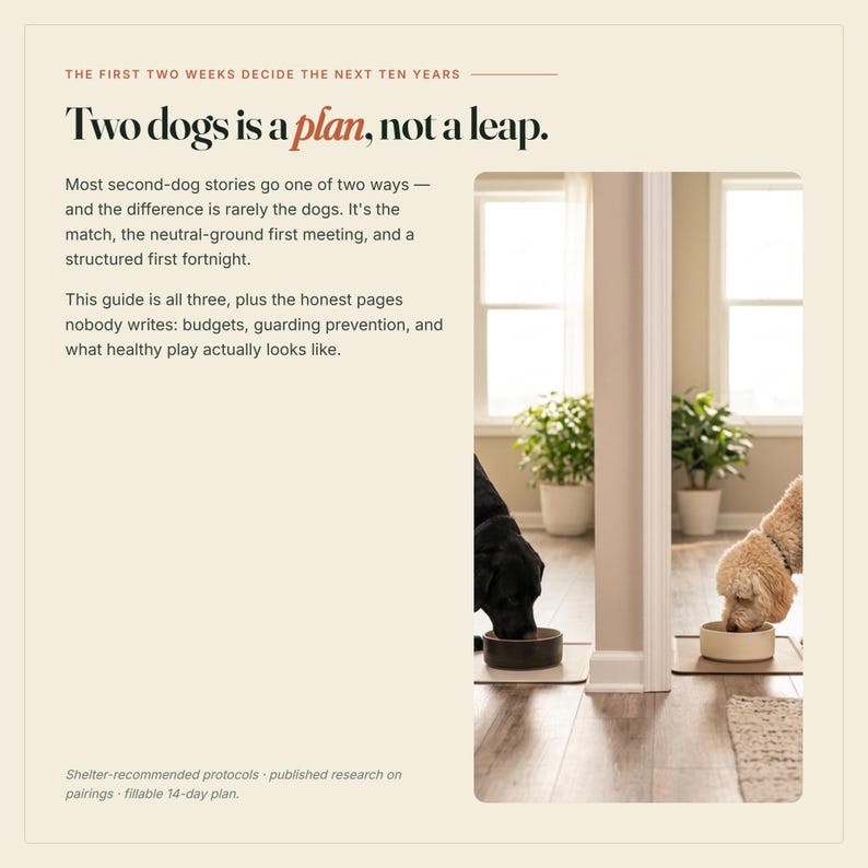 May include: A printed guide titled Two dogs is a plan, not a leap, featuring text about dog care and a photograph of a black dog and a tan dog eating from separate bowls on a wooden floor, with potted plants visible in the background.